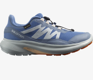 Кросівки Salomon Hypulse GTX 417208