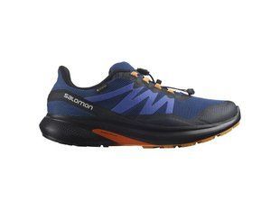 Кросівки Salomon Hypulse GTX 415961