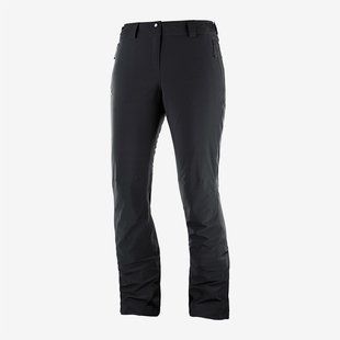 Брюки Salomon Icemania Pant W 12112