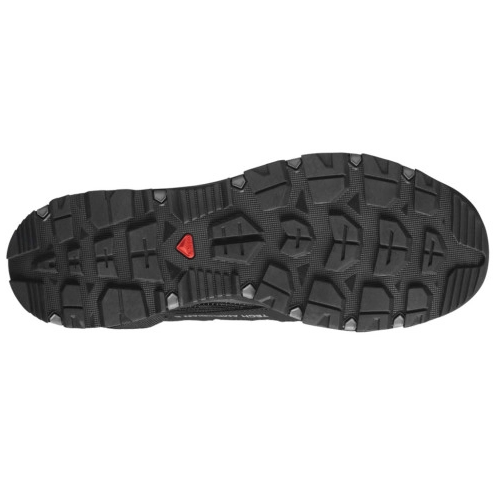 Кросівки Salomon Techamphibian 5 471151