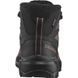 Черевики Salomon X Ultra Snowpilot WP W 475858