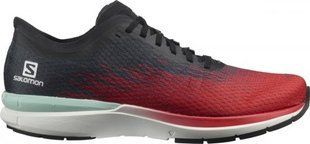 Кросівки Salomon Sonic 4 Accelerate 413029 D