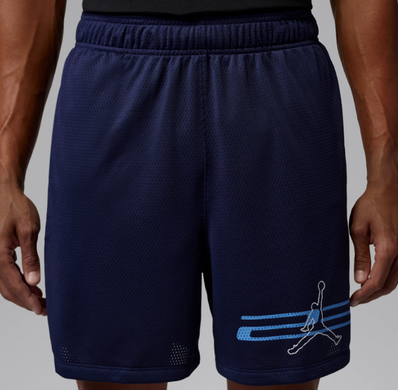 Шорти Jordan Dri-Fit Mesh Graphic IF0872-410