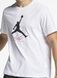 Футболка Jordan Jumpman Flight AO0664-100