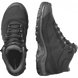 Ботинки Salomon Shelter WP 478542