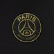 Толстовка Jordan Paris Saint Germain DV0611-010