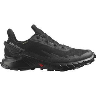 Кросiвки Salomon Alphacross 4 GTX 470640