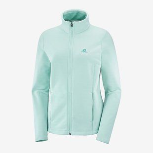 Флісова Кофта Salomon Radiant Fz W 13573