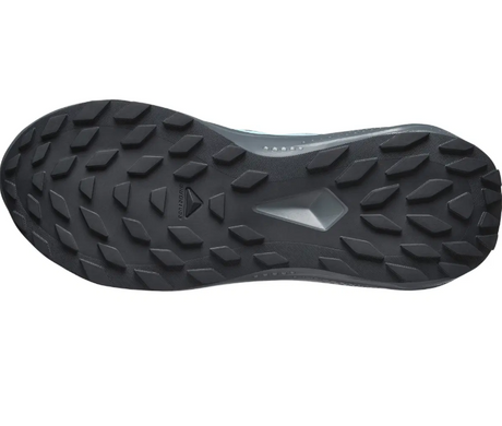 Кросівки Salomon Alphaglide GTX W 478025