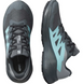 Кросівки Salomon Alphaglide GTX W 478025