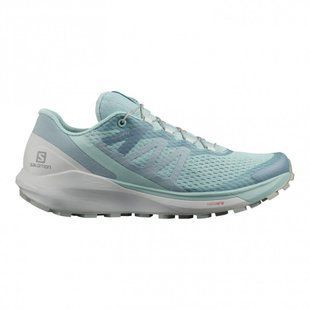 Кросівки Salomon Sense Ride 4 W 413054 D