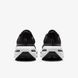 Кросівки Nike Winflo 12 HV9272-002