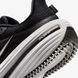 Кросівки Nike Winflo 12 HV9272-002