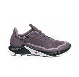 Кросівки Salomon Alphacross 5 GTX W 473110