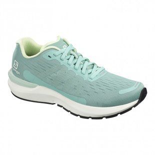 Кросівки Salomon Sonic 3 Balance W 409840 D