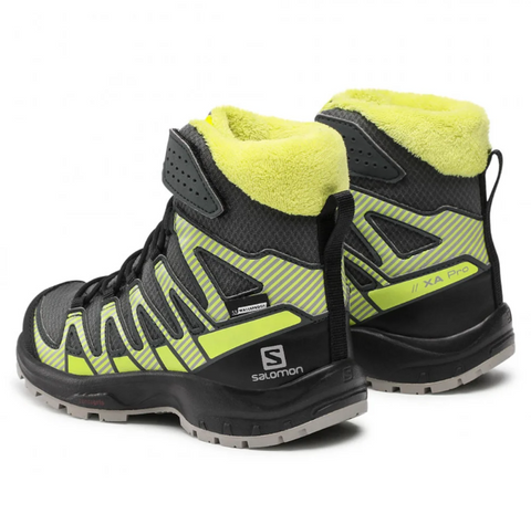 Salomon xa pro 2025 3d mid cswp j