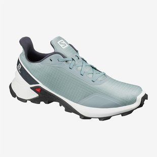 Кросівки Salomon Alphacross 410404 D