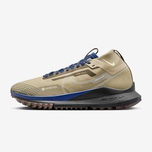 Кросівки Nike Pegasus Trail 4 Gore-Tex FD5841-200