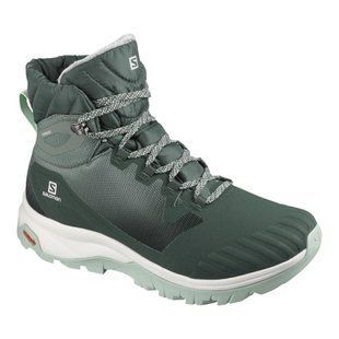 Черевики Salomon Vaya Blaze Ts Cswp 410292