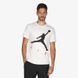 Футболка Jordan Jumpman Air Hybrid ss Crew CV3425-101