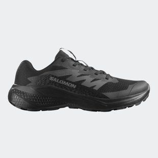 Кросiвки Salomon Alphaglide 479483