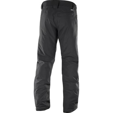 Брюки Salomon Icemania Pant M 10040