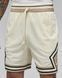 Шорти Jordan Dri-FIT Sport Diamond Shorts DX1487-113