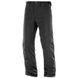 Штани Salomon Icemania Pant M 10040