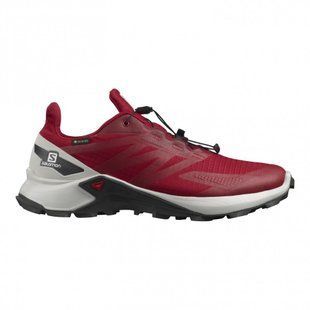 Кроссовки Salomon Supercross Blast Gtx 412840