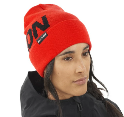 Шапка Salomon Hermitage Beanie C23029