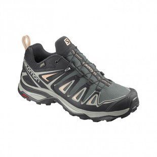Кросівки Salomon X Ultra 3 Gtx W 409878 D