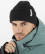 Шапка Salomon Snowbird Beanie C23031