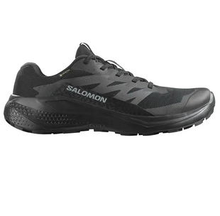 Кросiвки Salomon Alphaglide GTX 478021