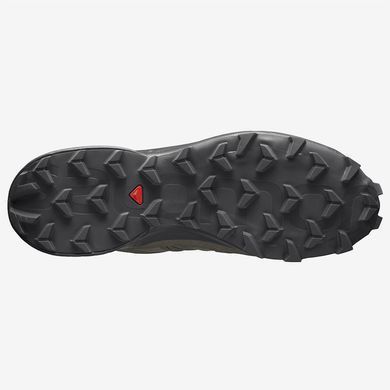 Кроссовки Salomon Speedcross 5 Gtx 407953 D