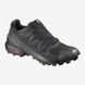 Кроссовки Salomon Speedcross 5 Gtx 407953 D