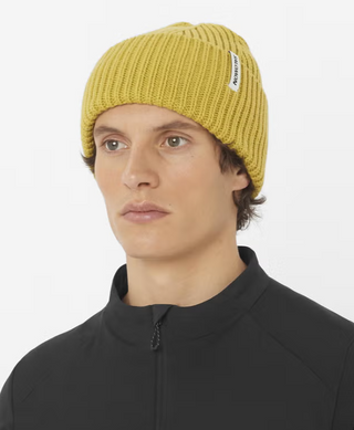 Шапка Salomon Snowbird Beanie C26295