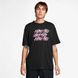 Футболка Nike SB Tee Oc Repeat Brd FV3494-010