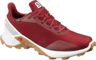Кросівки Salomon Alphacross Gtx&reg; 408053 D
