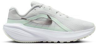 Кроссовки Nike W Downshifter 14 IB1899-103