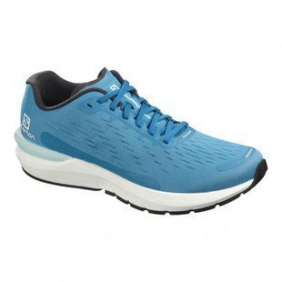 Кросівки Salomon Sonic 3 Balance 409807 D