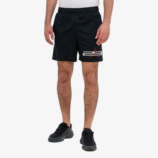 Шорты Jordan Dri-Fit Mesh Graphic IF0872-010