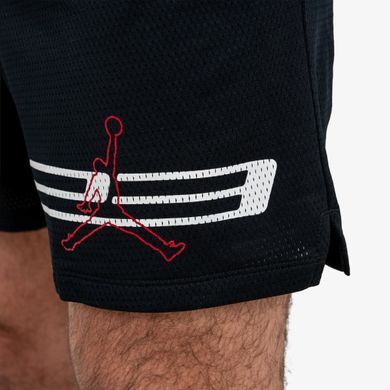 Шорты Jordan Dri-Fit Mesh Graphic IF0872-010