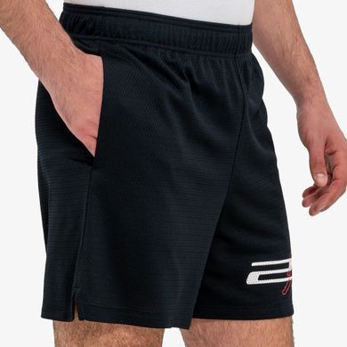 Шорты Jordan Dri-Fit Mesh Graphic IF0872-010