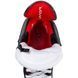 Ковзани Bauer Vapor FlyPro Int