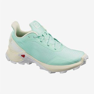 Кросівки Salomon Alphacross W 409615 D