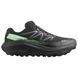 Кроссовки Salomon Ultra Flow 2 GTX 479814