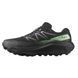 Кроссовки Salomon Ultra Flow 2 GTX 479814