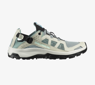 Кросівки Salomon Techamphibian 5 W 491107